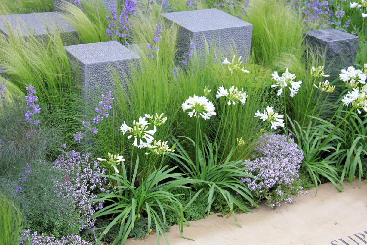 Des graminées comme décor de jardin