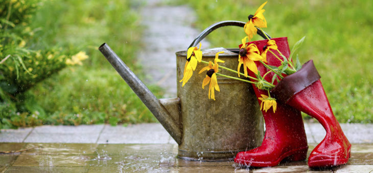 Entretenir son jardin en temps de pluie