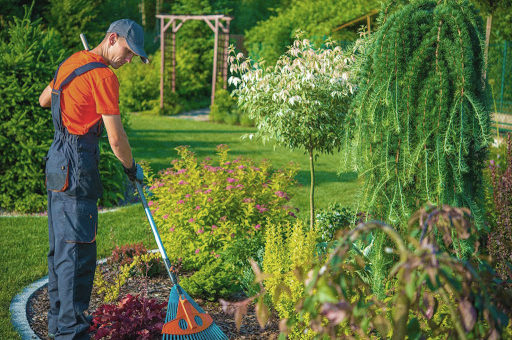 Quelques astuces pour mieux concevoir son jardin